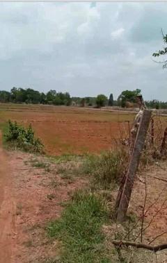 ขายถูกมาก!! ที่นา 11 ไร่ พร้อมบ่อน้ำ ติดถนน อ.ประจักษ์ศิลปาคม จ.อุดรธานี ใกล้นิคม ใกล้ใจกลางเมืองอุดรฯ-202510191607081760864828715.jpg