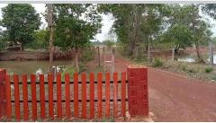 ขายถูกมาก!! ที่นา 11 ไร่ พร้อมบ่อน้ำ ติดถนน อ.ประจักษ์ศิลปาคม จ.อุดรธานี ใกล้นิคม ใกล้ใจกลางเมืองอุดรฯ-202510191607091760864829930.jpg