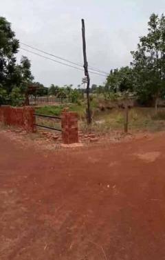 ขายถูกมาก!! ที่นา 11 ไร่ พร้อมบ่อน้ำ ติดถนน อ.ประจักษ์ศิลปาคม จ.อุดรธานี ใกล้นิคม ใกล้ใจกลางเมืองอุดรฯ-202510191607101760864830906.jpg