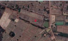 ขายถูกมาก!! ที่นา 11 ไร่ พร้อมบ่อน้ำ ติดถนน อ.ประจักษ์ศิลปาคม จ.อุดรธานี ใกล้นิคม ใกล้ใจกลางเมืองอุดรฯ-202510191607111760864831410.jpg