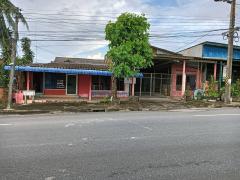 ขายที่ดินแถมสิ่งปลูกสร้างทำเลดีเหมาะแก่การอยู่อาศัยหรือเปิดธุรกิจ ติดถนนใหญ่สายหลัก อยู่บนที่สูงไม่ต้องตามแก้ปัญหาจากน้ำท่วม อากาศดีปราศจากค่าฝุ่น