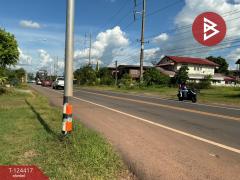 ขายบ้านเดี่ยว 2 ชั้นพร้อมที่ดิน หมู่บ้านเหล่าวิชา ต.นาชุมแสง จ.อุดรธานี-202510191720351760869235873.jpg