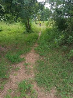 ขายถูกมาก!! ที่ดิน 9-2-13 ไร่ ติดถนน ติดเทศบาลตำบลเนินขาม สถานีตำรวจ ที่ว่าการอำเภอ โรงพยาบาล อ.เนินขาม จ.ชัยนาท-202510191945591760877959703.jpg