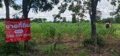 ขายถูกมาก!! ที่ดิน 9-2-13 ไร่ ติดถนน ติดเทศบาลตำบลเนินขาม สถานีตำรวจ ที่ว่าการอำเภอ โรงพยาบาล อ.เนินขาม จ.ชัยนาท-202510191946001760877960825.jpg