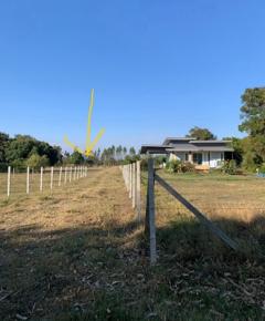 ขายที่ดินถูก  200 ตร.วา  119,000 บาท  ค่าโอนคนละครึ่ง-202510201106341760933194946.jpg