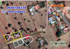 ขายที่ดินถูก  200 ตร.วา  119,000 บาท  ค่าโอนคนละครึ่ง-202510201106351760933195422.jpg