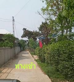 ขายที่ดินถูก  200 ตร.วา  119,000 บาท  ค่าโอนคนละครึ่ง-202510201106361760933196383.jpg