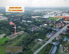 ขายที่ดินถูก  100 ตร.วา  235,000บาท  ถมแล้ว เข้าซอย 200 ม ข้าง รร แสวงหาวิทยาคม  ใกล้ 7 eleven. ธอส -202510201123341760934214322.jpg