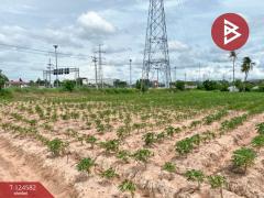 ให้เช่าที่ดิน-เนื้อที่-8-ไร่-2-งาน-85.8-ตา