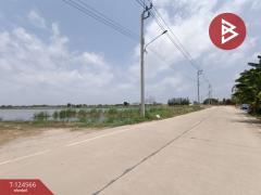 ขายที่ดิน เนื้อที่ 50 ไร่ บางพลี สมุทรปราการ ทำเลดี-202510201158371760936317948.jpg