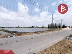 ขายที่ดิน เนื้อที่ 50 ไร่ บางพลี สมุทรปราการ ทำเลดี-202510201158381760936318470.jpg