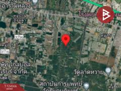 ขายที่ดิน เนื้อที่ 50 ไร่ บางพลี สมุทรปราการ ทำเลดี-202510201158411760936321115.jpg