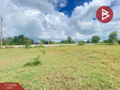 ขายที่ดิน เนื้อที่ 4 ไร่ 3 งาน 0.5 ตร.วา พระทองคำ นครราชสีมา-202510201223111760937791511.jpg