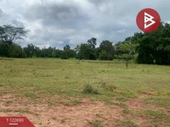 ขายที่ดิน เนื้อที่ 4 ไร่ 3 งาน 0.5 ตร.วา พระทองคำ นครราชสีมา-202510201223111760937791979.jpg