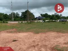 ขายที่ดิน เนื้อที่ 4 ไร่ 3 งาน 0.5 ตร.วา พระทองคำ นครราชสีมา-202510201223121760937792444.jpg