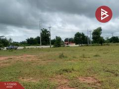 ขายที่ดิน เนื้อที่ 4 ไร่ 3 งาน 0.5 ตร.วา พระทองคำ นครราชสีมา-202510201223121760937792967.jpg