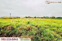 DD-944663 ที่ดินหนองหว้า 44 ไร่ 119 ตร.ว. กุมภวาปี อุดรธานี ใกล้สำนักงานเทศบาลตำบลห้วยเกิ้ง-202510201224231760937863742.jpg