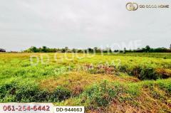 DD-944663 ที่ดินหนองหว้า 44 ไร่ 119 ตร.ว. กุมภวาปี อุดรธานี ใกล้สำนักงานเทศบาลตำบลห้วยเกิ้ง-202510201224241760937864325.jpg