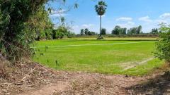 ขายที่ดินเปล่า ทำเลดี เดินทางสะดวก น้ำไฟเข้าถึง ต.วังทอง อ.วังทอง จ.พิษณุโลก-202510201421571760944917584.jpg