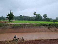 ขายที่ดินเปล่า ทำเลดี เดินทางสะดวก น้ำไฟเข้าถึง ต.วังทอง อ.วังทอง จ.พิษณุโลก-202510201421581760944918561.jpg