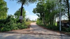 ขายที่ดินเปล่า ทำเลดี เดินทางสะดวก น้ำไฟเข้าถึง ต.วังทอง อ.วังทอง จ.พิษณุโลก-202510201421591760944919077.jpg