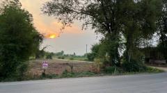 ขายที่ดินเปล่า ทำเลดี เดินทางสะดวก น้ำไฟเข้าถึง ต.วังทอง อ.วังทอง จ.พิษณุโลก-202510201421591760944919563.jpg