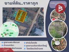 ขายที่ดิน เนื้อที่ 79.2 ตร.วา สาริกา นครนายก