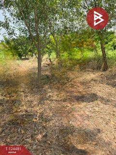 ขายที่ดิน เนื้อที่ 79.2 ตร.วา สาริกา นครนายก-202510201436591760945819914.jpg