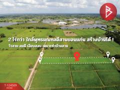 ขายที่ดิน เนื้อที่ 2 ไร่ 2 งาน 23.6 ตร.วา ศิลา ขอนแก่น-202510201451271760946687265.jpg