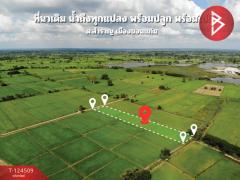 ขายที่ดิน เนื้อที่ 2 ไร่ 2 งาน 23.6 ตร.วา ศิลา ขอนแก่น-202510201451271760946687787.jpg