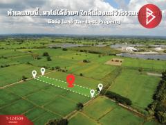 ขายที่ดิน เนื้อที่ 2 ไร่ 2 งาน 23.6 ตร.วา ศิลา ขอนแก่น-202510201451281760946688306.jpg