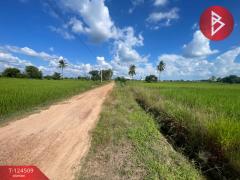 ขายที่ดิน เนื้อที่ 2 ไร่ 2 งาน 23.6 ตร.วา ศิลา ขอนแก่น-202510201451311760946691935.jpg