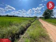 ขายที่ดิน เนื้อที่ 2 ไร่ 2 งาน 23.6 ตร.วา ศิลา ขอนแก่น-202510201451321760946692457.jpg