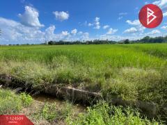 ขายที่ดิน เนื้อที่ 2 ไร่ 2 งาน 23.6 ตร.วา ศิลา ขอนแก่น-202510201451321760946692981.jpg