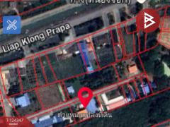 ขายโกดัง เนื้อที่ 1 ไร่ 26.6 ตร.วา โพรงมะเดื่อ นครปฐม-202510201538421760949522259.jpg