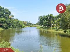 ขายที่ดิน เนื้อที่ 403 ตารางวา หมู่บ้านปัญญารีสอร์ท บางพระ ซอย 9 ชลบุรี ติดบึงน้ำ-202510201617351760951855963.jpg