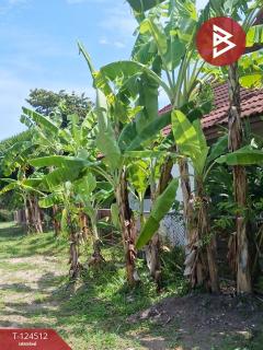 ขายที่ดิน เนื้อที่ 403 ตารางวา หมู่บ้านปัญญารีสอร์ท บางพระ ซอย 9 ชลบุรี ติดบึงน้ำ-202510201617361760951856491.jpg