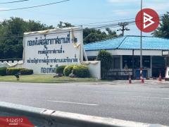 ขายที่ดิน เนื้อที่ 403 ตารางวา หมู่บ้านปัญญารีสอร์ท บางพระ ซอย 9 ชลบุรี ติดบึงน้ำ-202510201617371760951857025.jpg