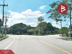 ขายที่ดิน เนื้อที่ 403 ตารางวา หมู่บ้านปัญญารีสอร์ท บางพระ ซอย 9 ชลบุรี ติดบึงน้ำ-202510201617371760951857565.jpg