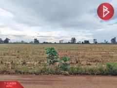 ขายที่ดิน เนื้อที่ 21 ไร่ 2 งาน 28 ตร.วา ศรีมหาโพธิ ปราจีนบุรี