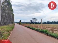 ขายที่ดิน เนื้อที่ 21 ไร่ 2 งาน 28 ตร.วา ศรีมหาโพธิ ปราจีนบุรี-202510201743411760957021555.jpg