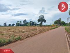 ขายที่ดิน เนื้อที่ 21 ไร่ 2 งาน 28 ตร.วา ศรีมหาโพธิ ปราจีนบุรี-202510201743421760957022056.jpg