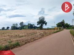 ขายที่ดิน เนื้อที่ 21 ไร่ 2 งาน 28 ตร.วา ศรีมหาโพธิ ปราจีนบุรี-202510201743421760957022558.jpg