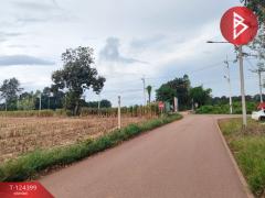 ขายที่ดิน เนื้อที่ 21 ไร่ 2 งาน 28 ตร.วา ศรีมหาโพธิ ปราจีนบุรี-202510201743431760957023074.jpg