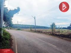 ขายที่ดิน เนื้อที่ 21 ไร่ 2 งาน 28 ตร.วา ศรีมหาโพธิ ปราจีนบุรี-202510201743441760957024586.jpg