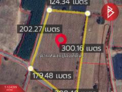 ขายที่ดิน เนื้อที่ 21 ไร่ 2 งาน 28 ตร.วา ศรีมหาโพธิ ปราจีนบุรี-202510201743451760957025087.jpg