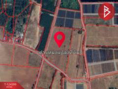 ขายที่ดิน เนื้อที่ 21 ไร่ 2 งาน 28 ตร.วา ศรีมหาโพธิ ปราจีนบุรี-202510201743451760957025586.jpg