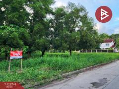 ขายที่ดินแปลงสวย เนื้อที่ 94.3 ตารางวา คลองสาม ปทุมธานี ติดถนนหลักคลองหลวง