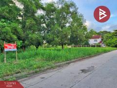 ขายที่ดินแปลงสวย เนื้อที่ 94.3 ตารางวา คลองสาม ปทุมธานี ติดถนนหลักคลองหลวง-202510202040081760967608940.jpg