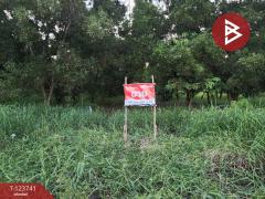 ขายที่ดินแปลงสวย เนื้อที่ 94.3 ตารางวา คลองสาม ปทุมธานี ติดถนนหลักคลองหลวง-202510202040091760967609469.jpg